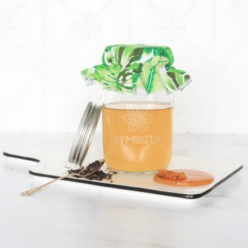 Symbiota Kombucha Complete Kit 1L with Organic SCOBY