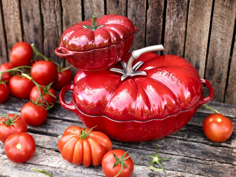 65149 651493 – Tomato Cocotte – 25cm Ceramic – 19cm LS