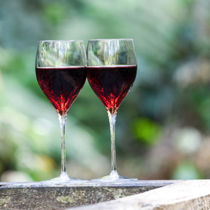 New Zealand Kitchen Products | Wine Glasses