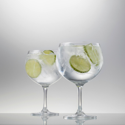 New Zealand Kitchen Products | Gin Glasses