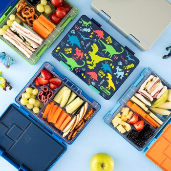 Layout of Avanti YumYum Bento Lunchboxes in use