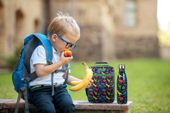 Kids dino lunch kit sized