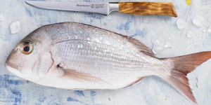 New Zealand Kitchen Products | Messermeister