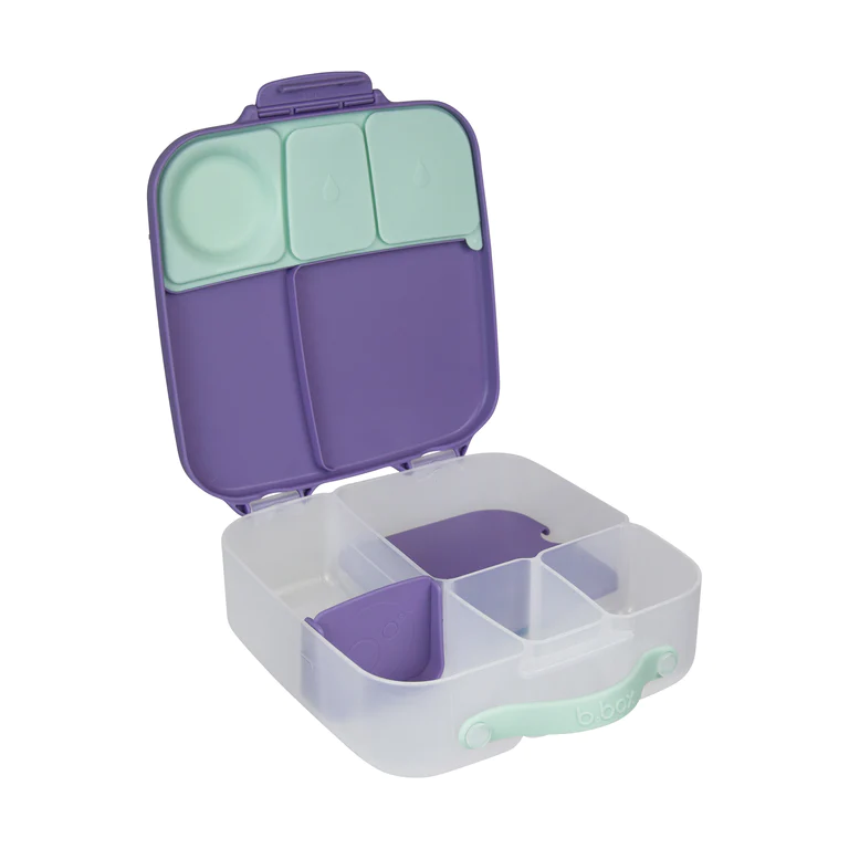 Lunchbox-lilac-pop-4_768x