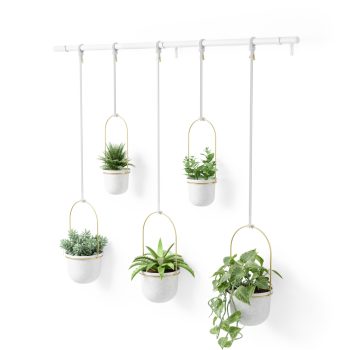 Umbra Triflora Hanging Planter White and Brass Set of 5
