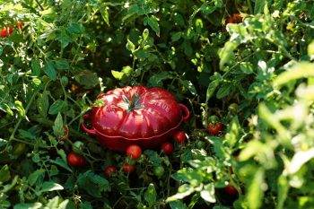 651493 – Ceramic Tomato 19cm – LS (5)