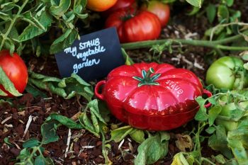 651493 – Ceramic Tomato 19cm – LS (6)