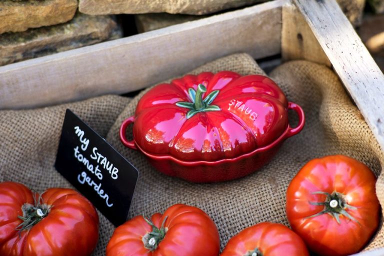 651493 – Ceramic Tomato Cocotte 19cm – LS