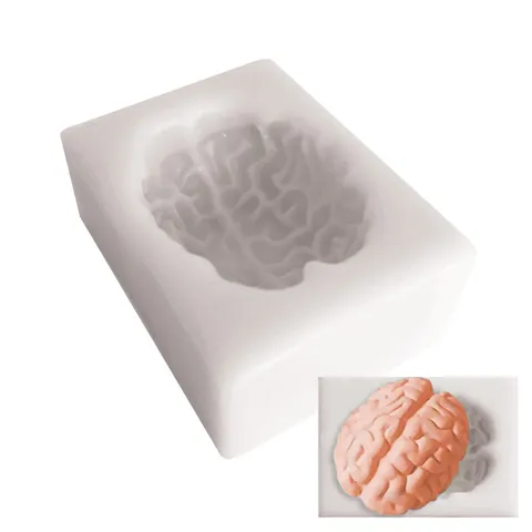 Brain Mould