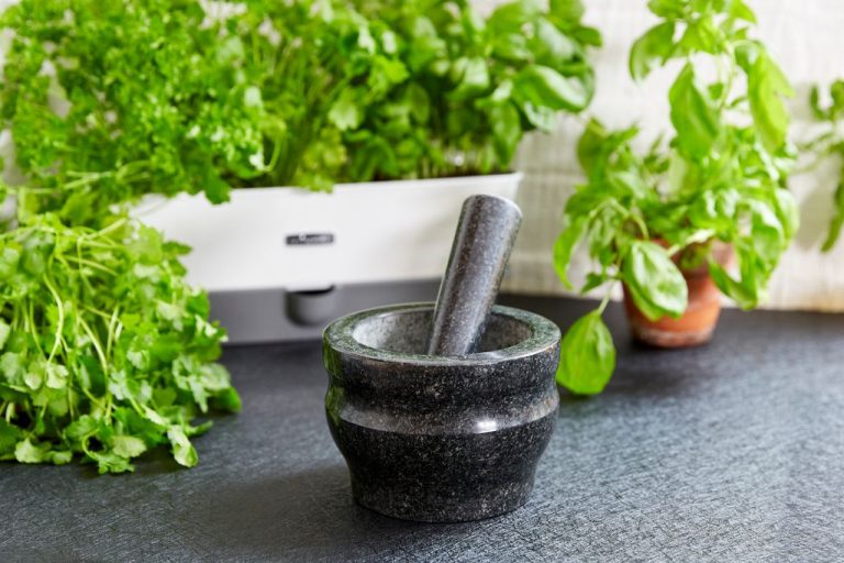 31450 – Cole & Mason Granite Pestle & Mortar – Black 14cm – LS7