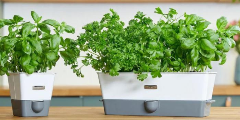 Herb Keepers & Sprouting Jars | Heading Image | Product Category