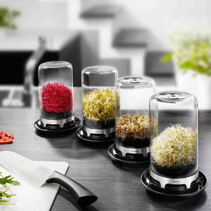 New Zealand Kitchen Products | Herb Keepers & Sprouting Jars