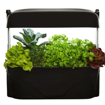 Vegepod Kitchen Garden Black