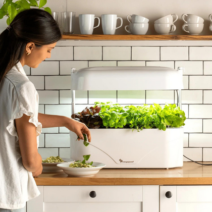 New Zealand Kitchen Products | Vegepod