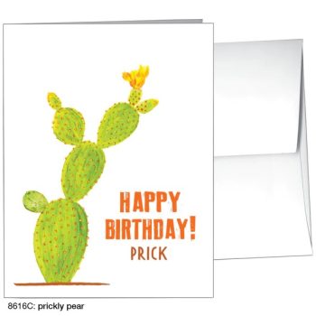 Happy Birthday Prick! Cactus - Card