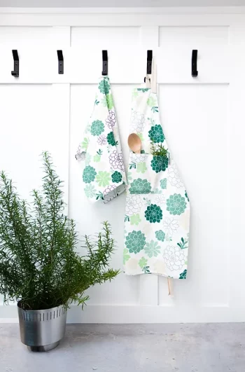 Apron Succulent