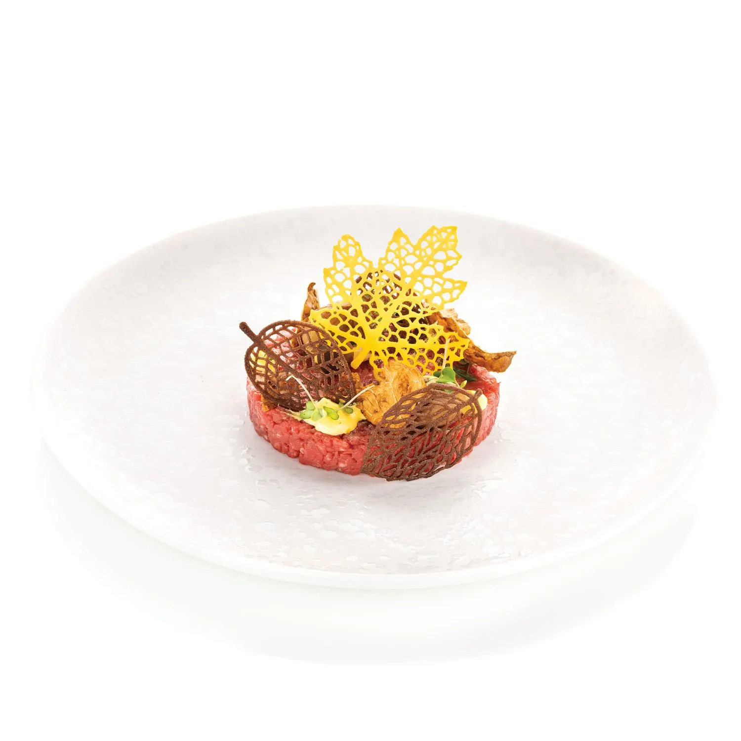 33.301.36.0065_BOSCO_EXTRA_2_1