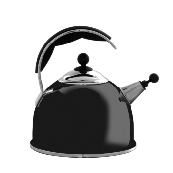 aga kettle