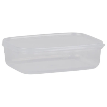 Decor Tellfresh® Oblong Storer 625ml (1)