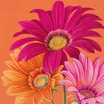 IHR Cocktail Napkin Joyful Gerbera Orange
