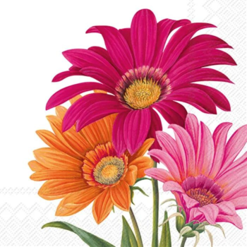 IHR Lunch Napkin Joyful Gerbera White