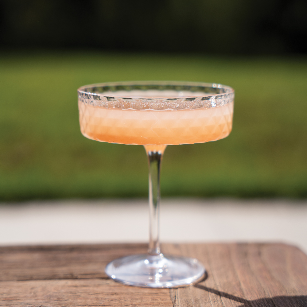 Zafferano Veneziano Mixology Champagne Saucer 250ml Lifestyle (1)