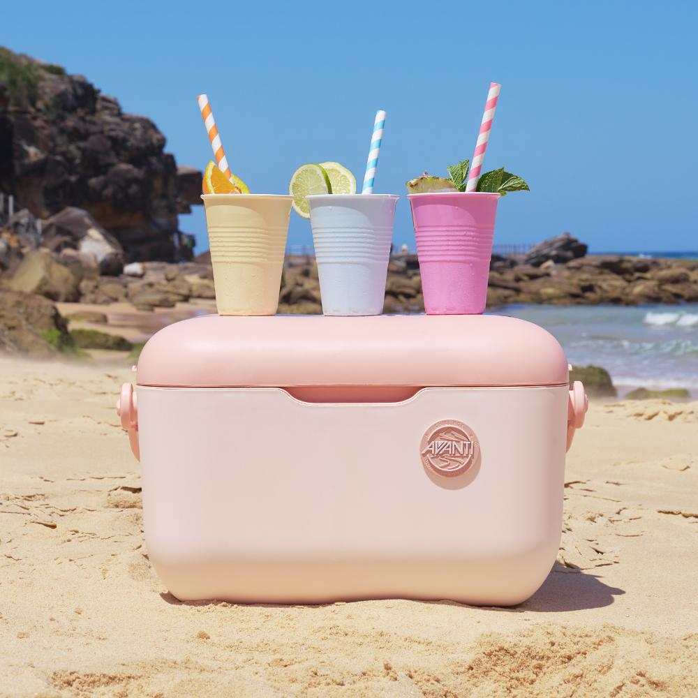 60506 CHILLBOX PORTABLE COOLER 20L PINK (2)