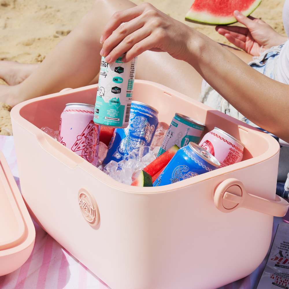 60506 CHILLBOX PORTABLE COOLER 20L PINK (3)