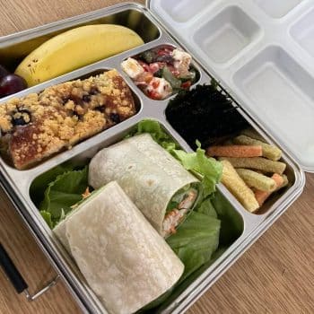 nestling-ss-jumbo-bento-box-10