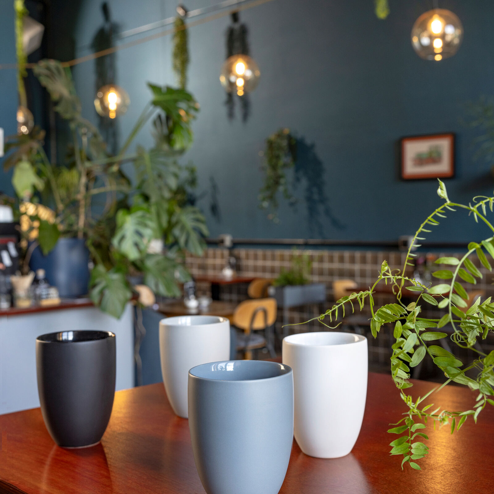 69203-321651-28724_01_m