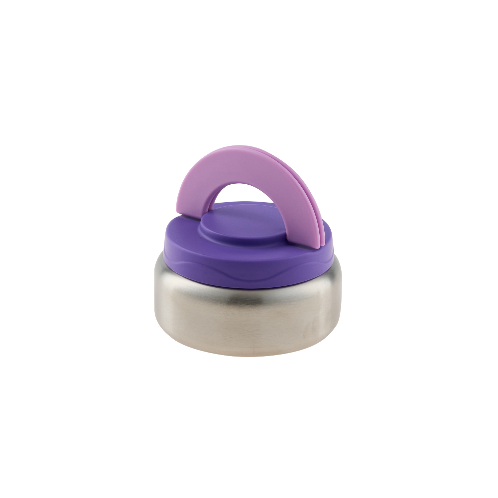 insulated bento food jar violet