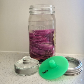GoodLife Fermentation Glass Weight 69mm (3)