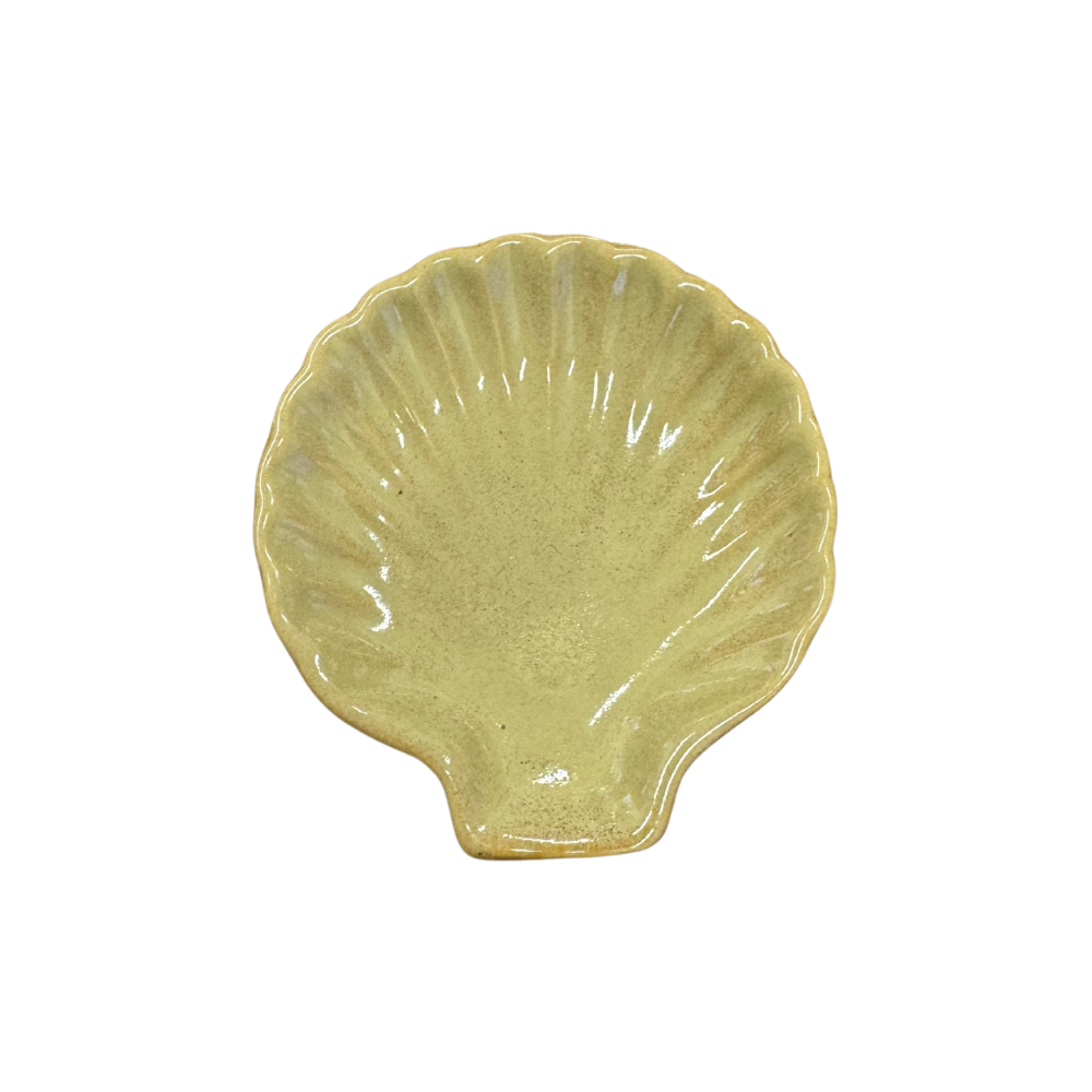 Mollusco Ceramic Dish Assorted