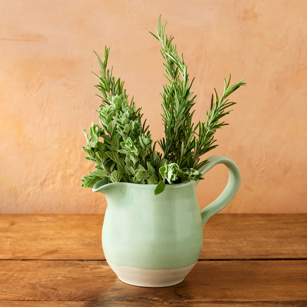 big-love-joy-jug-650 (4)