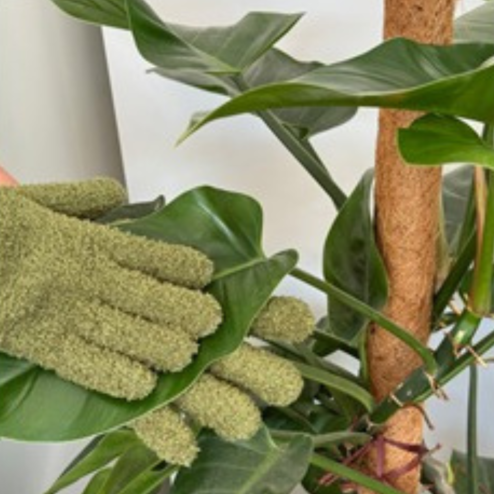 esschert-design-plant-dust-gloves-3