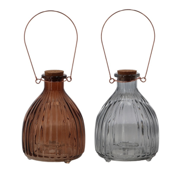 Esschert Design Hanging Wasp Trap Assorted Colours