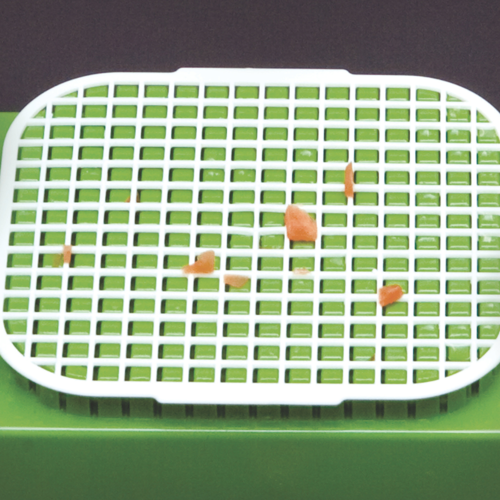 Alligator Cleaning Grid 6x6mm Set of 2