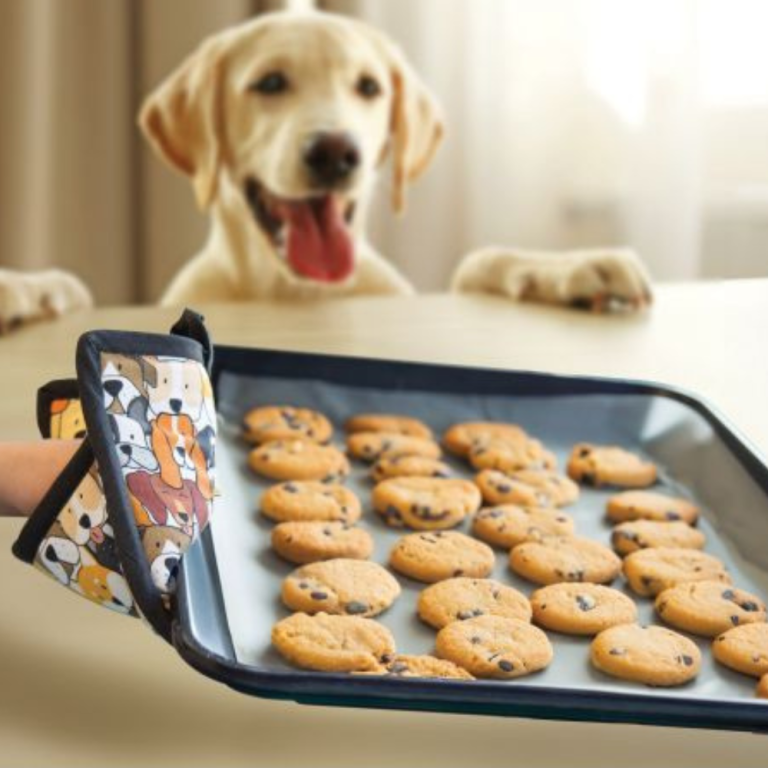 IS Gift The Dog Collective Pot Holder (2)