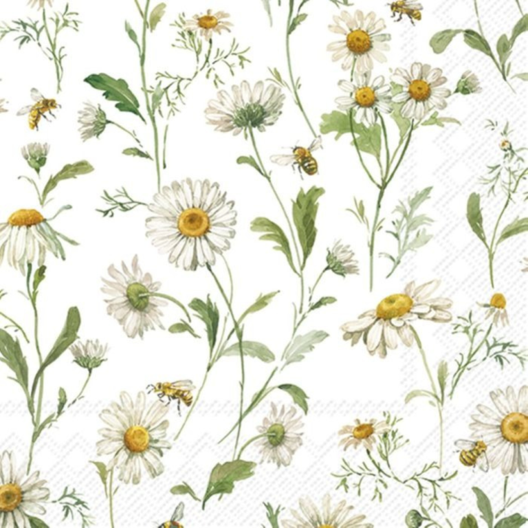 ihr-lunch-daisies