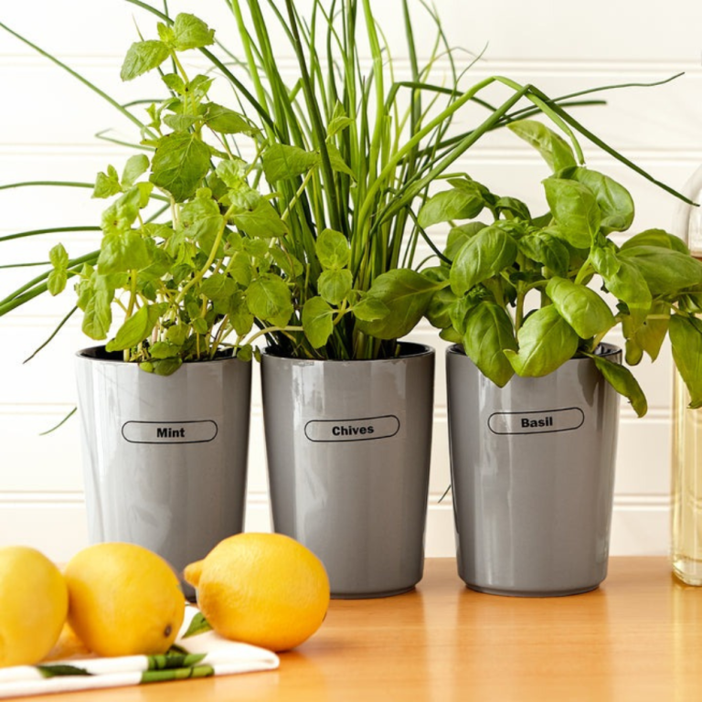 rsvp-clear-spice-labels (5)