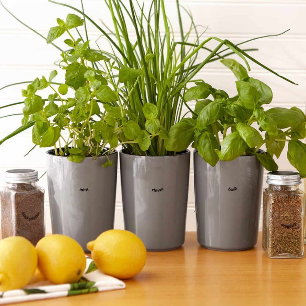 rsvp-round-spice-labels (4)