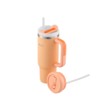 Previous product thumbnail