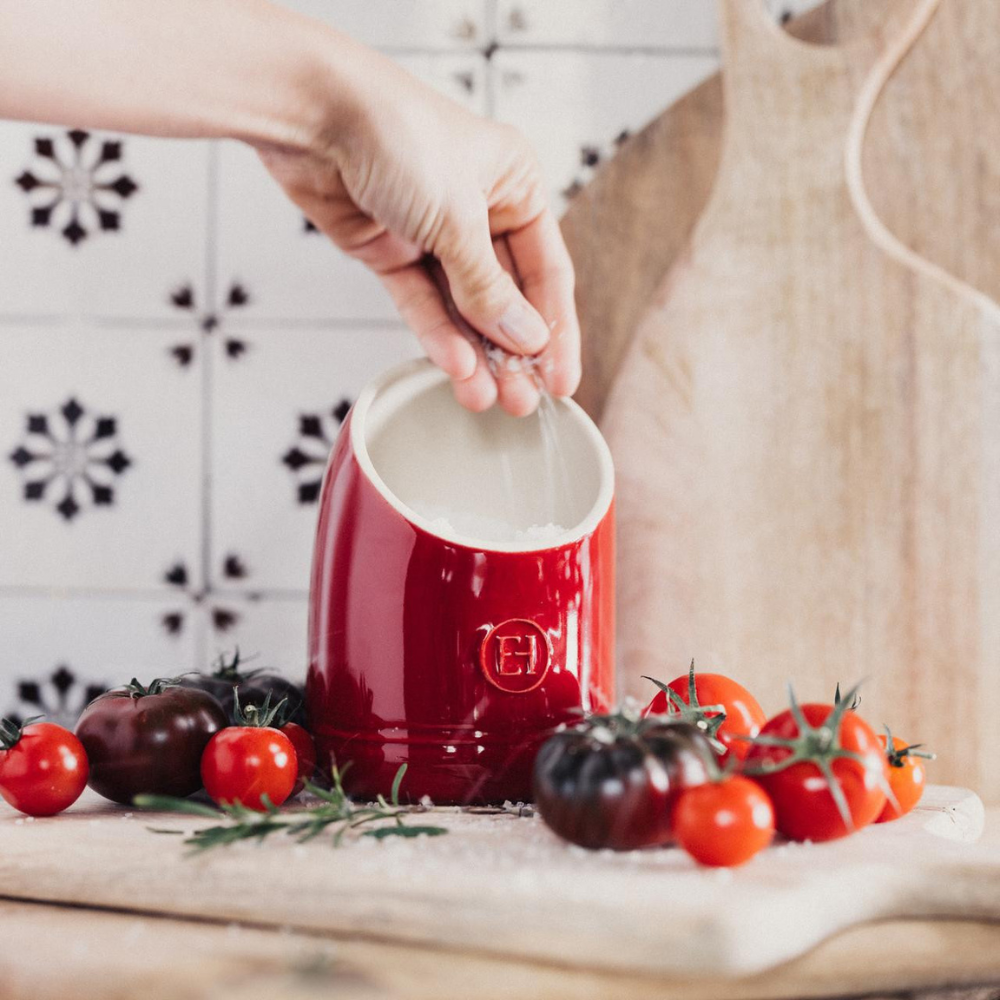 Emile-Henry-salty-piggy-clay (3)