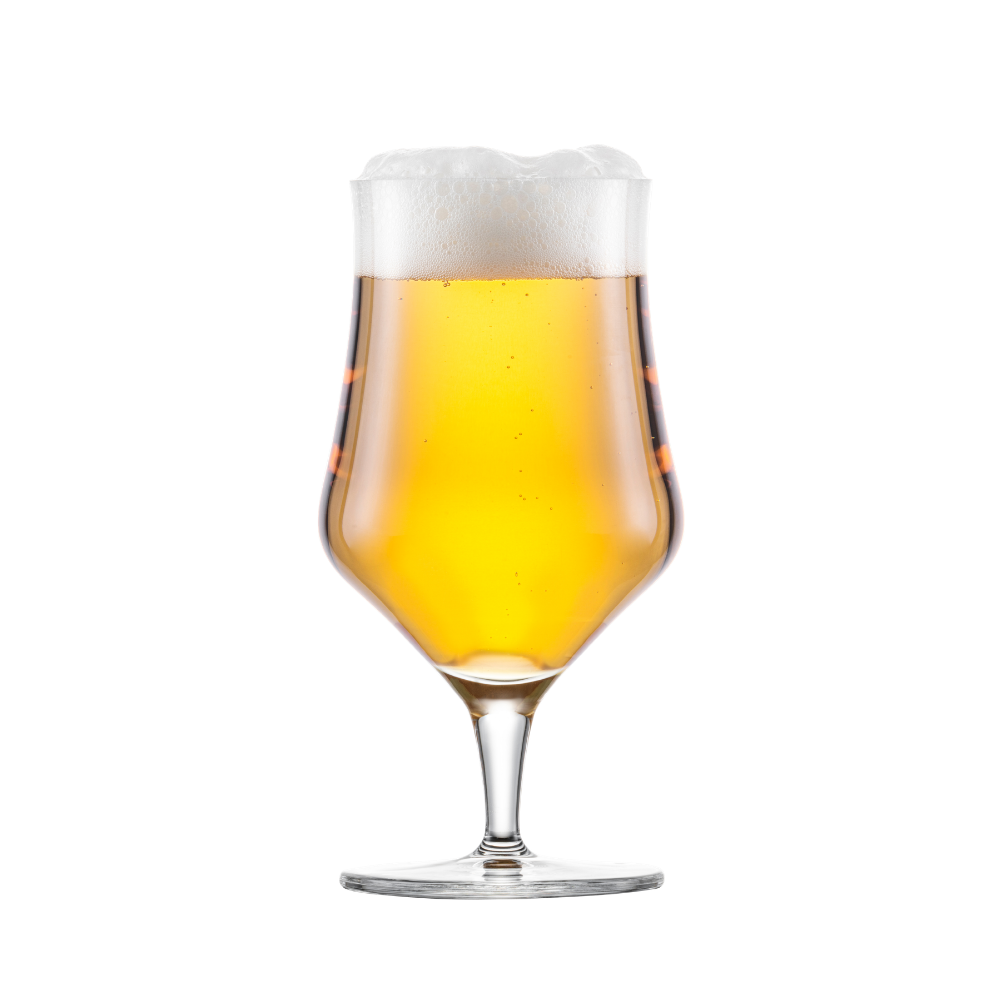 Schott Zwiesel Beer Basic Craft Universal 450ml (2)