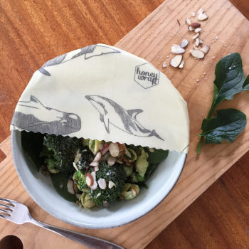 honeywrap-whale-large