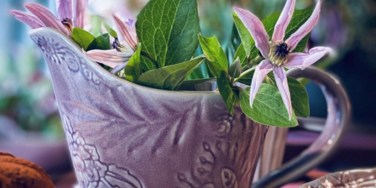 Lavender | Heading Image | Product Category