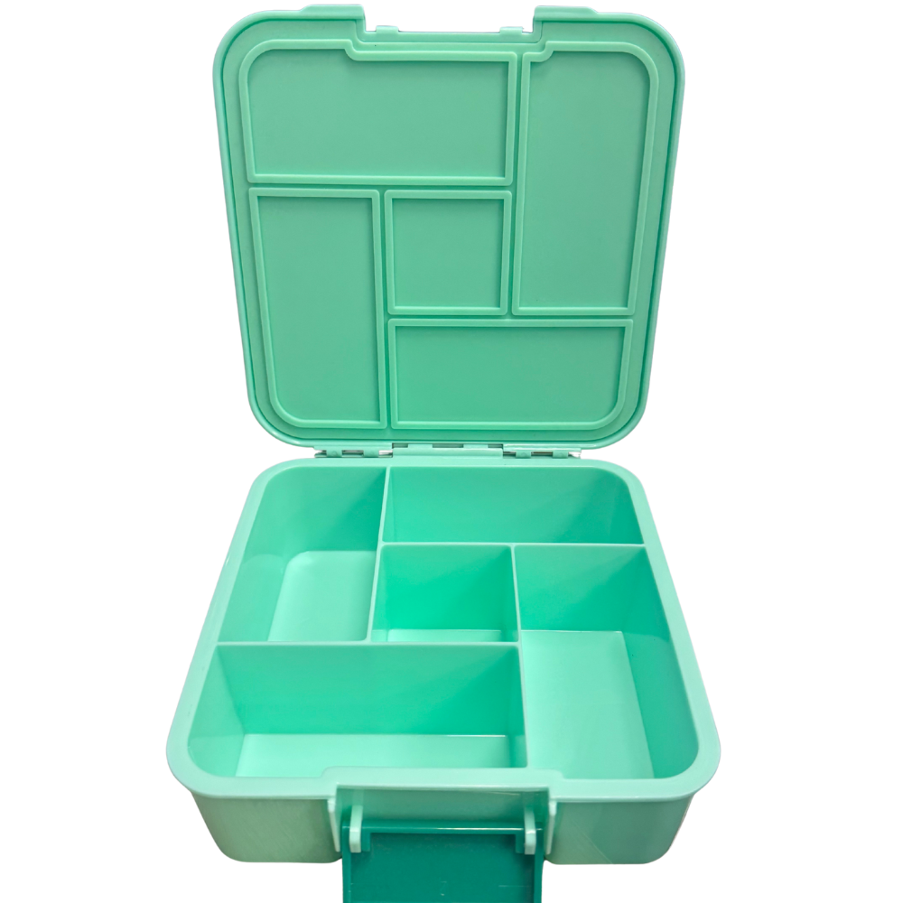 BENTO 5 PAISLEY LUNCH BOX (1)