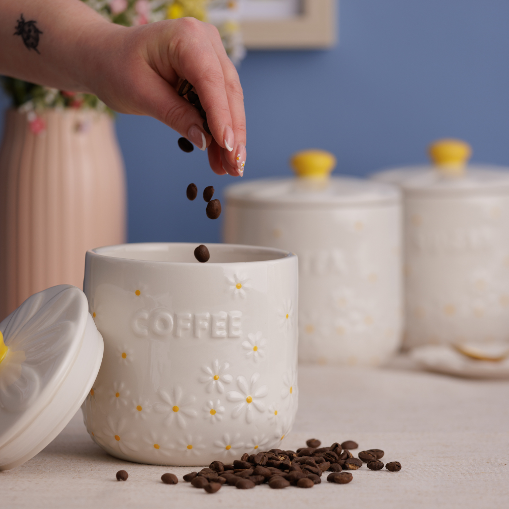 Price & Kensington Daisy Lifestyles (13)