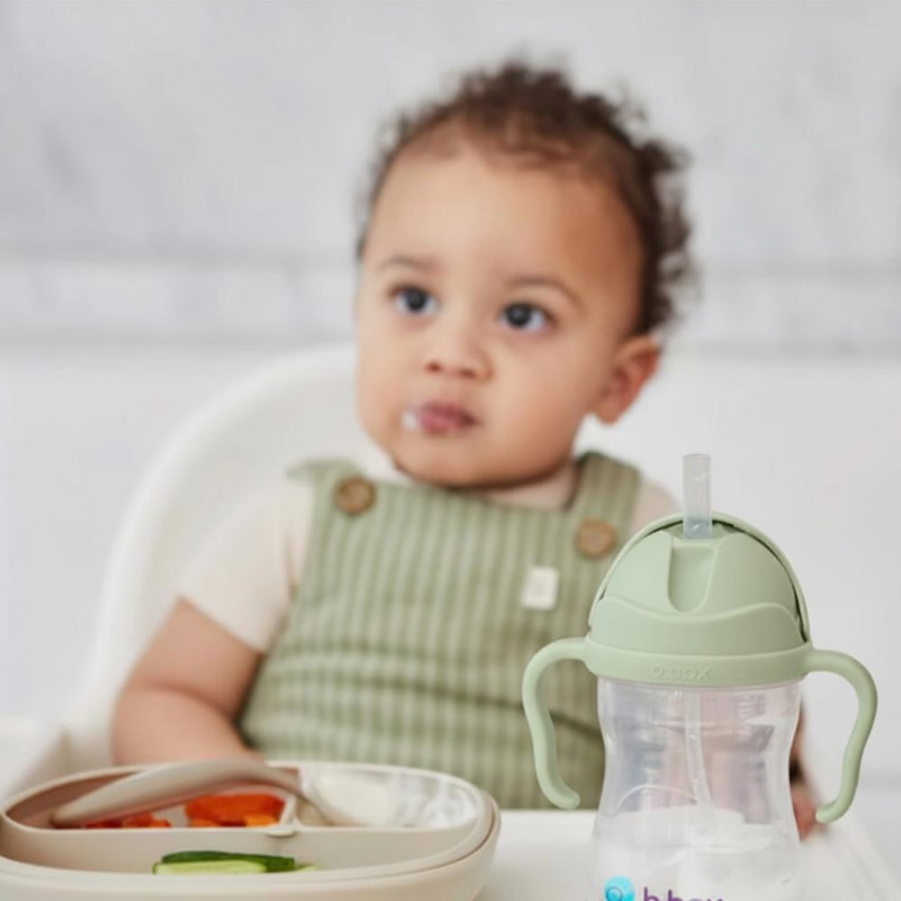 B.Box Transition Value Pack Sage LS