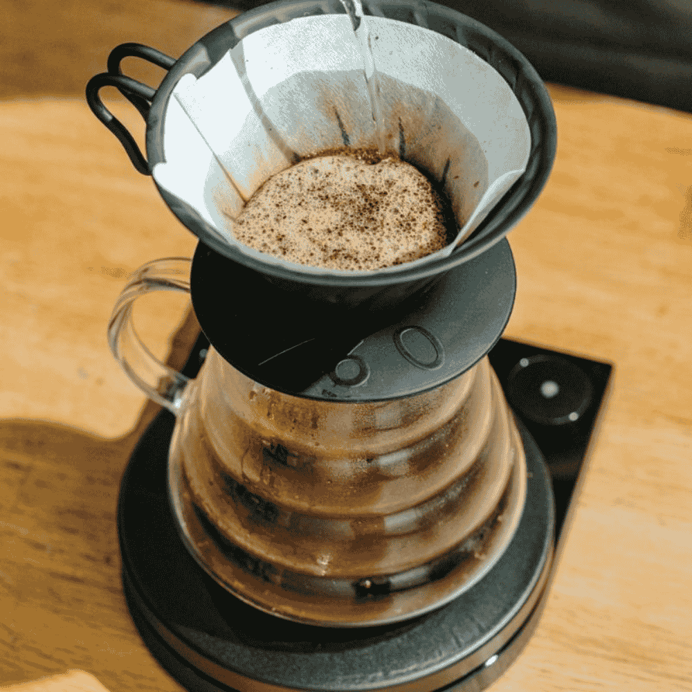 bruer-spectrum-cone-paper-filter (4)